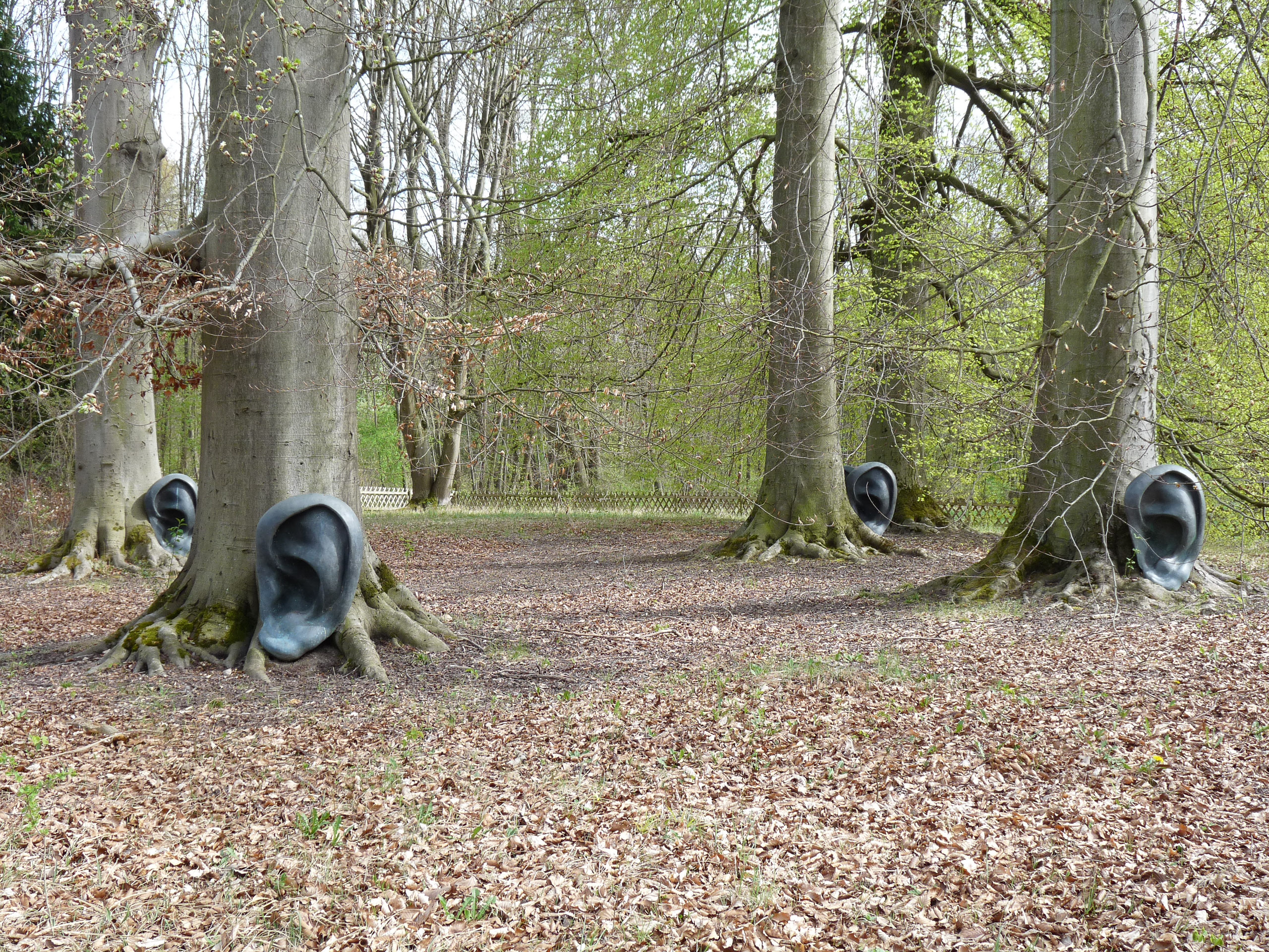 20180414153207 P1110064